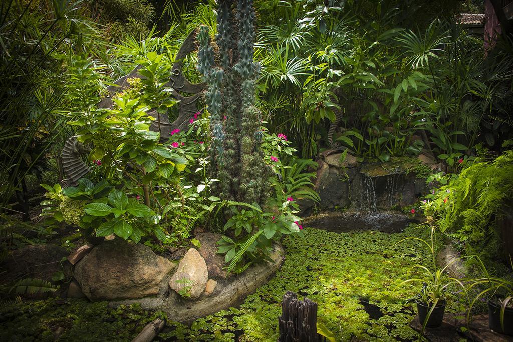 Pousada Fenix Pirenópolis Esterno foto
