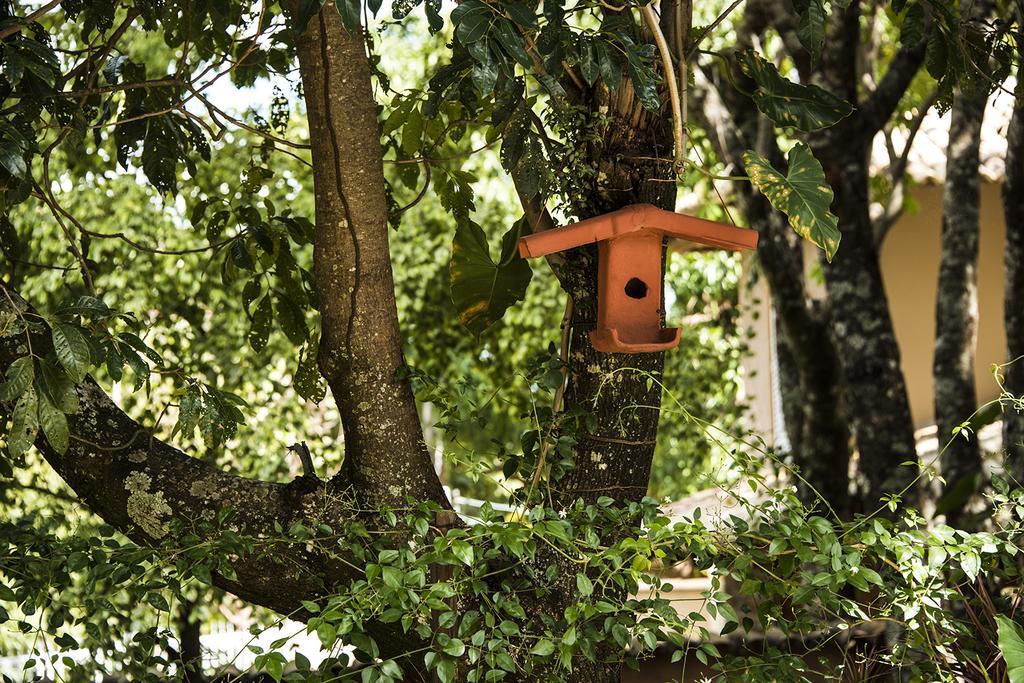 Pousada Fenix Pirenópolis Esterno foto